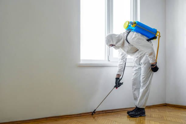 Best Residential Pest Control  in Skidway Lake, MI